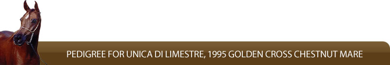 Pedigree for Unica di Limestre, 1995 Golden Cross chestnut mare